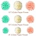 Paxcoo 40pcs Mint and Pink Balloons with Tissue Paper Flower Pom Poms for Baby Shower Party Decorations
