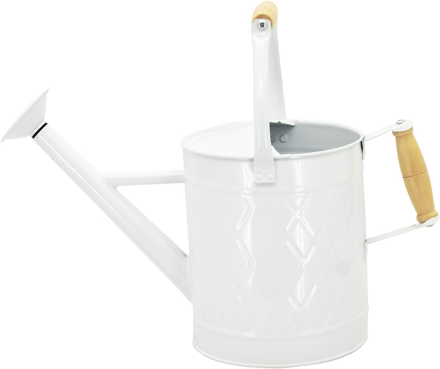 HORTICAN Galvanized Watering Can Modern Style Watering Pot with Handle and Rosehead for Outdoor and Indoor House Plants (1 gal/White) : Garden & Outdoor