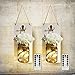 MorTime 2 pcs Waterproof Handcrafted Hanging Glass Mason Jar Sconces Wall Decor With 8 Different Functions LED Lights, Wooden Boards with White Hydrangea And Remote Control (2pc)