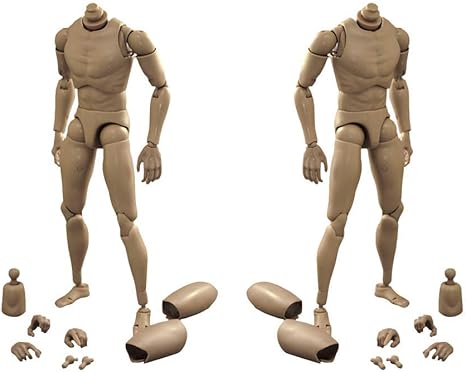 Amazon.com: ZSMD 2Pcs 12'' Male 