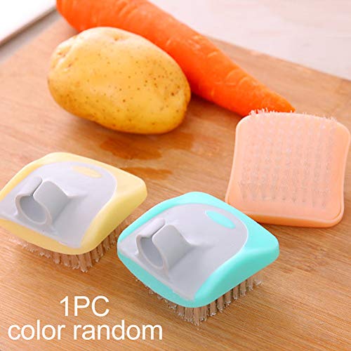 Almabner-Cepillo-de-Limpieza-de-Frutas-y-Verduras-para-Cocina-Utensilios-de-Cocina-Zanahorias-Patatas-Accesorio-de-Cepillo-de-Nailon-de-Color-al-Azar-6-x-62-x-33-cm-Show-6-62-33cm