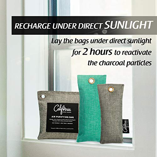 4 Charcoal+Purifying+Activated+Home+Deodorizer