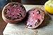 75+ Black Krim Tomato Seeds- Heirloom Variety