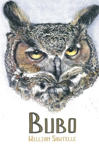 Bubo: A Story of a Very Special Owl