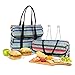 PackIt Freezable Picnic Tote, Fiesta