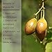 Luseta Marula Oil Shampoo & Conditioner Set, for Fine and Dry Hair, 2 x 16.9 Oz