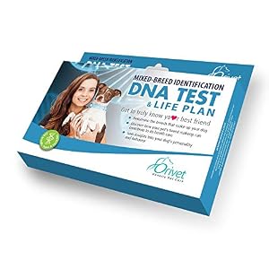 Product image for barcode 642415402873