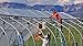 A&A Green Store Greenhouse Plastic 4 Year 6 mil UV Resistant Clear Polyethylene Film (20' x 40')