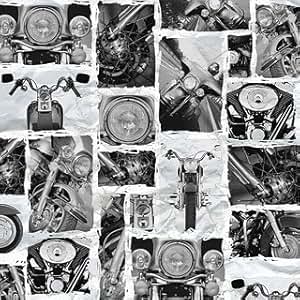 Harley davidson bronx image