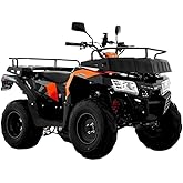 Italika ATV200 NARANJA NEGRO FL Cuatrimoto