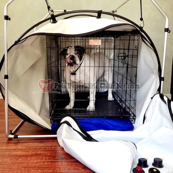 oxygen box for dogs