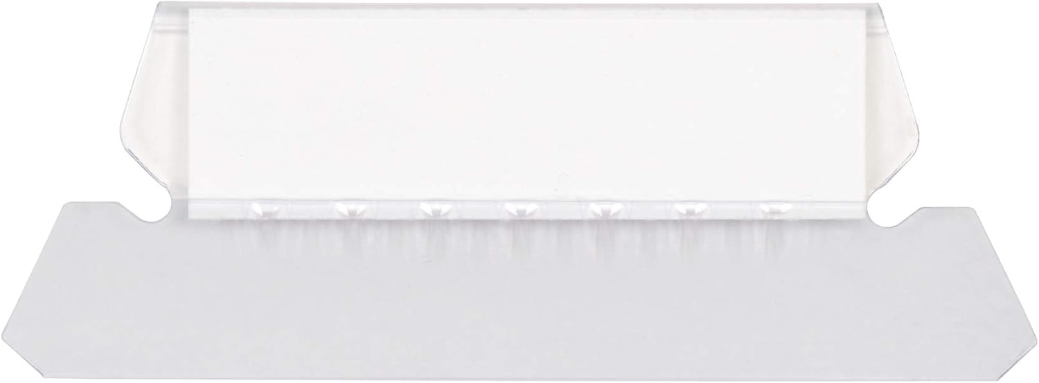 Basics Hanging Folders, Letter Size, Jewel-Tone Colors (Assorted), 25-Pack : Office Products