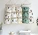KRLIFCSL Cactus Wall Door Closet Hanging Storage Bag Canvas Fabric 3 Pockets Over The Door Organizer Pouch, 2 Pack (Cactus)
