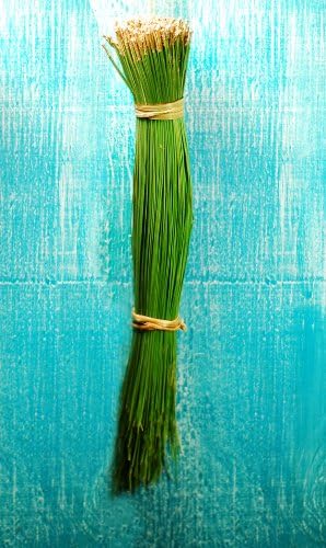 2lbs of Fresh Organic EXTRA LONG California Ponderosa Pine Needle Strands for Basketry by formyluvoffiber