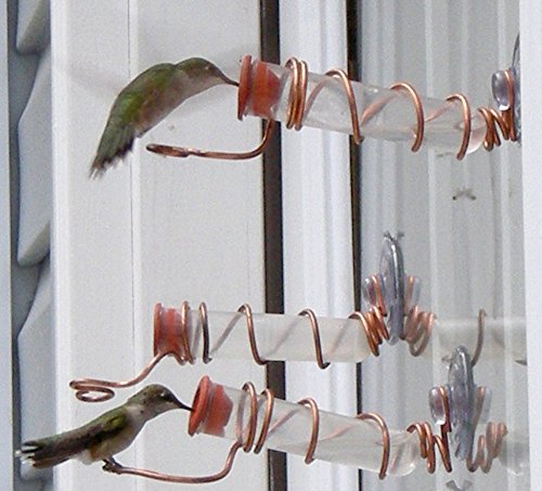 My Hummingbird ONEsie Complete Window Feeder Kit - Thumbnail 3