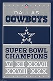 Dallas Cowboys Champions Football Poster