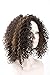 Futuretrend Kinky Curly Afro Wig Cheep Female Wig Brown Kinky Curly Short Wigs for Black Women Heat Resistant African Hair Wigs (brown)