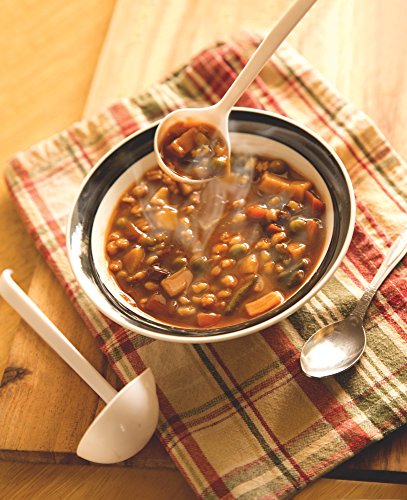 Fox Run 5553 Mini Ladle Set, Plastic, 2-Piece