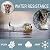 ZENNO No Bark Collar for Small, Medium, Large Dogs - Upgrade Stop Barking Collar for Dogs with Vibration and Sound - Humane and Safe Anti Bark Collar for Dogs - 100% Waterproof Bark Collar