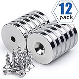 Neodymium Disc Countersunk Hole Magnets, 1.26 inch x 0.2 inch Strong Permanent Rare Earth Magnets with Screws - Pack of 12
