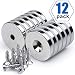 Neodymium Disc Countersunk Hole Magnets, 1.26 inch x 0.2 inch Strong Permanent Rare Earth Magnets with Screws - Pack of 12 primary