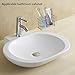 Stainless Steel Toothbrush and Toothpaste Holder for Bathroom, Sturdy and Hygienic, Drain and Rust Prevention