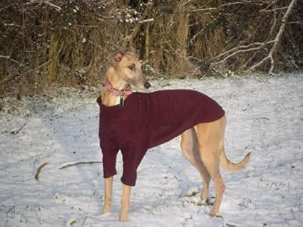 Equafleece for dogs amazon Clearance