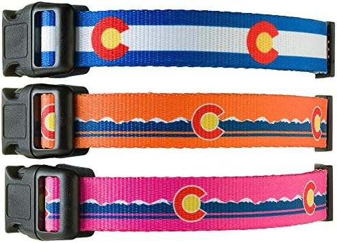 Colorado State Flag Dog Collar Blue (Medium)