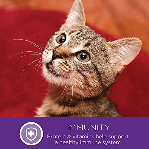WELLNESS HEALTHLY INDULGENCE MORSELS ADULT WET CAT FOOD, NATURAL, PROTEIN-RICH, GRAIN FREE, 3 OUNCE POUCH, 24 PACK, (CHICKEN & SALMON)