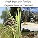 100% USDA Certified Organic Riceberry Rice - Purple Thai Black Jasmine Rice from Thailand - 1 lb - Gluten-free Healthy Gourmet Superfood