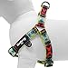 Blueberry Pet 2 Colors Soft & Comfy Step-in Southwestern Vintage Tribal Print Padded Dog Harness, Chest Girth 15.5