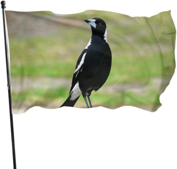 JINCAII Auspicioso Pájaro Urraca Pájaro Decorativo Jardín Titular de la