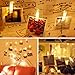 XTF2015 50 LED Photo Clips String Lights, Battery Operated 8 Modes Fairy String Lights with Clips for Wedding Party Bedroom Decoration to Hang Pictures Cards Artwork, Warm White