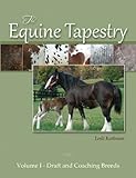 The Equine Tapestry An Introduction To Colors And