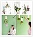 Newcom Upside-Down Planter/Sky Planter/Hanging Planter (White, Large)