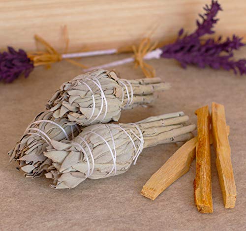 Home Cleansing and Blessing Kit - Smudging Chakra Balancing, White Sage, Palo Santo Sticks, Abalone Shell, Candle, Healing Incense, Good Luck, Purifying, Protection, Spiritual Cleansing, Meditation