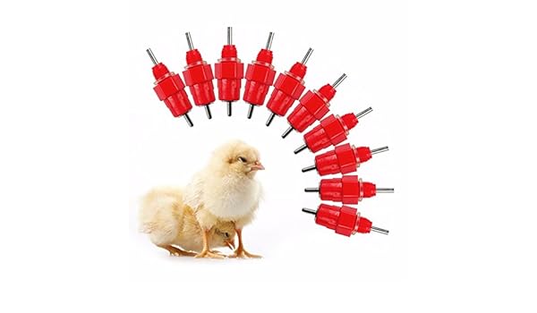 Amazon Com Chicken Feeder Chicken Waterer 10pcs Poultry Water