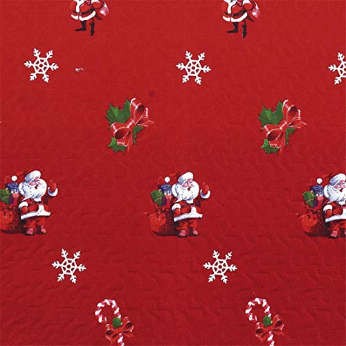 Oliven Christmas Quilts Set Twin Size Bedspreads Coverlet Set,Lightweight Blanket Reversible Bed Cover 3D Cartoon Christmas Santa Claus Christmas Bedding Christmas Home Decor,Red