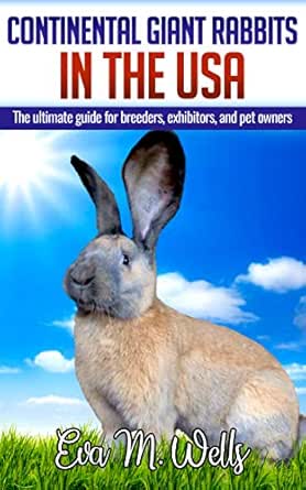 continental giant rabbit care