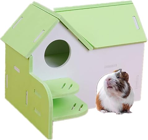 hamster accessories amazon