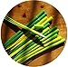 BUOP Narcissus Flower Style Ball-Point Pens, Extra Fine Black Gel Ink Pens, Assorted Color Flower Pens, Creative Stationery Gift, Dozen (12pcs) Box