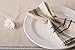 DII French Stripe Tabletop Collection Farmhouse Style Dining Table Linen Napkin Set, 20x20, Taupe/Teal, 6 Piece