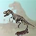 JOHOUSE Dinosaur Fossil Dig Kit, Excavate 13 Dinosaur Fossil Skeleton- Great STEM Science Gift for Paleontology and Archeology Enthusiasts of Any Age