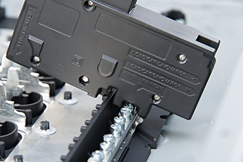 Square D by Schneider Electric HOM3060M200PQCVP Homeline 200 Amp 30