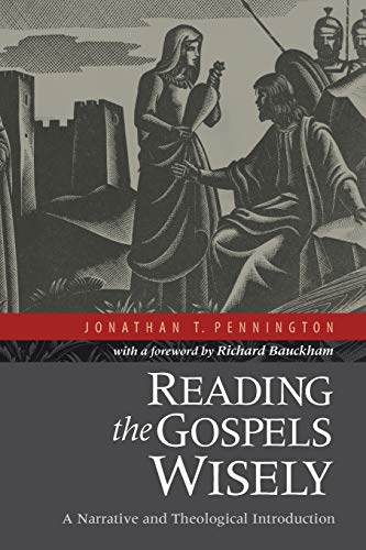 Reading the Gospels Wisely: A Narrative and Theological Introduction cover