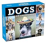 Dogs on Instagram 2020 Calendar by 