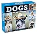 Dogs on Instagram 2020 Calendar by 