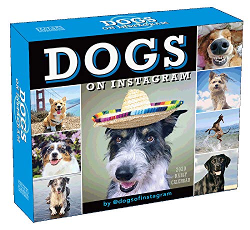 Dogs on Instagram 2020 Calendar by Sellers Publishing Inc.