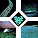 Boomile 200Pack Glow in the Dark Garden Pebbles for Walkways/ Outdoor Decor/ Aquarium/ Fish Tank, Outdoor Garden Decorative Stones in Blue & Green ATSC-520