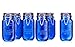 HC Elegant Home High Quality Airtight Glass Spice Jar Hermetic Seal Bail & Trigger/Jar with Lid • Use As Spice Canister • / Set of 6 (Blue)